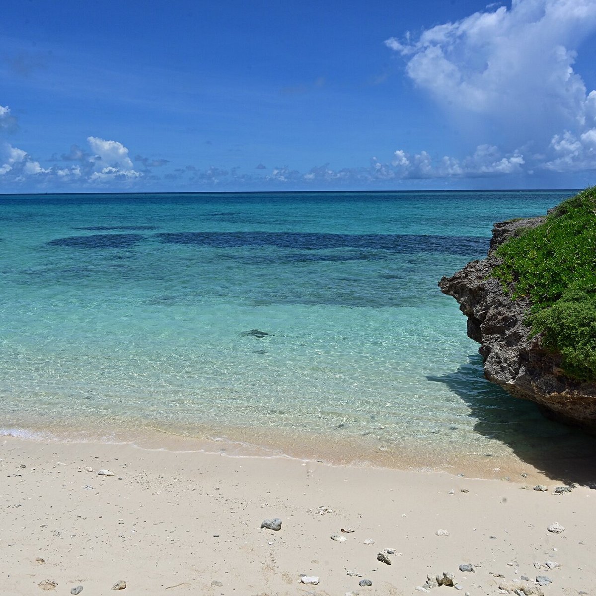 🌊 후나쿠스 해변 (이케마 블록) 이미지 4